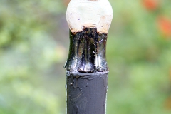 Stefan Karlsson