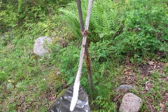 Pia Mauno