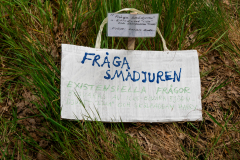 FRÖYDI LAZLO