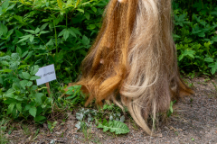 MARIE HOLMGREN